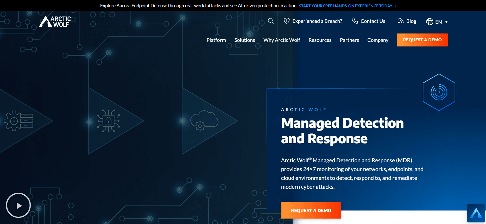 Arctic Wolf Website Screenshot