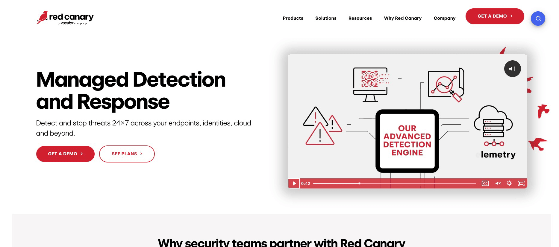 Red Canary Website Screenshot