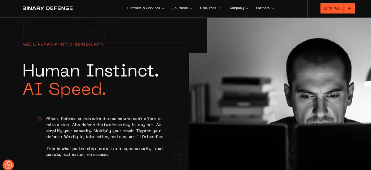Binary Defense Website Screenshot